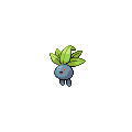Pokemon MMO